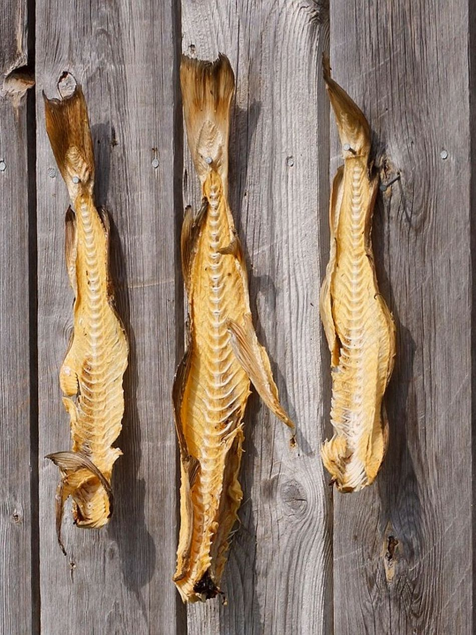 Pesca Esportiva Clássica